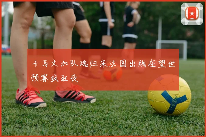 卡马文加队魂归来法国出线在望世预赛疯狂夜