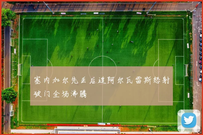 塞内加尔先丢后追阿尔瓦雷斯怒射破门全场沸腾