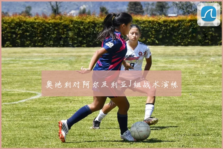 奥地利对阿尔及利亚J组战术演练