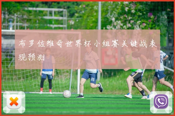 布罗佐维奇世界杯小组赛关键战表现预测
