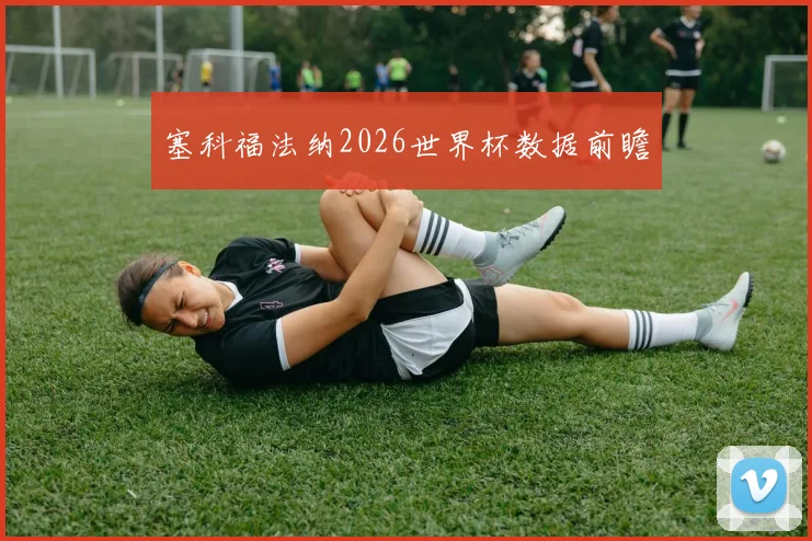 塞科福法纳2026世界杯数据前瞻