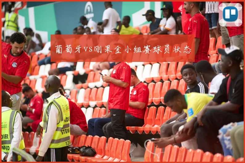 葡萄牙vs刚果金小组赛球员状态