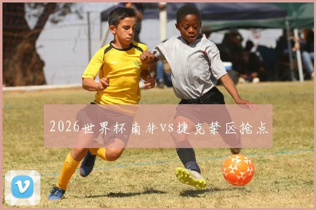 2026世界杯南非vs捷克禁区抢点